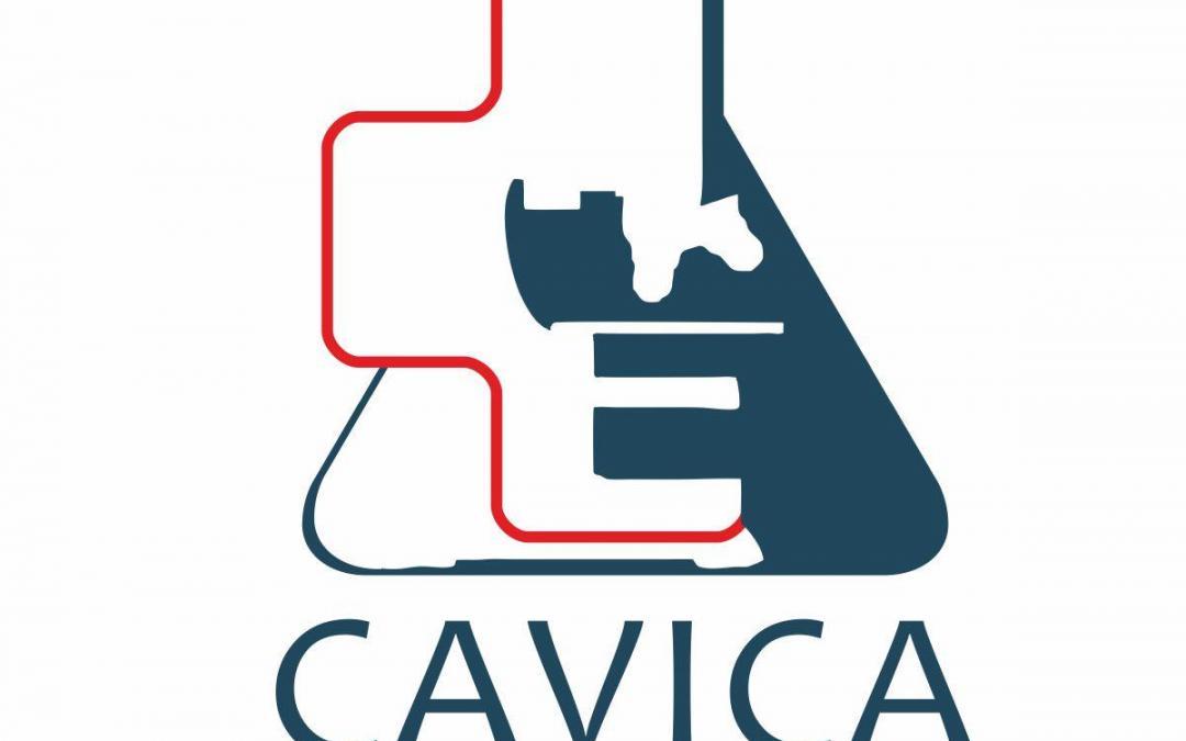 Análisis para licencia de conducir Profesional